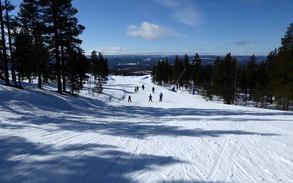 Skifahren in Idre Fjäll