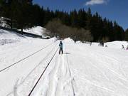 Separat betriebener Seillift B bei Aleko (nicht im Skipass enthalten)