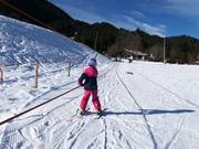 Seillift im Anfängerparadies