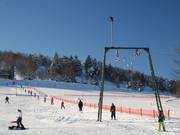 Mittlerer Wilddieblift - Tellerlift
