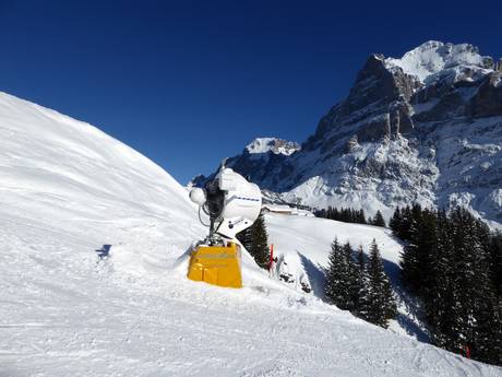 Schneesicherheit Bern – Schneesicherheit First – Grindelwald
