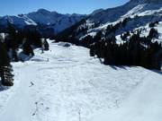 Leichte Piste von Mellau nach Damüls