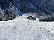 Ideales Anfängergelände am Übungslift Kreisten