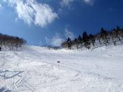 Mittelschwere Piste Technical