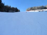 Die schwere Nordabfahrt am Rittisberg