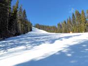 Mittelschwere Piste Crazy Canuck