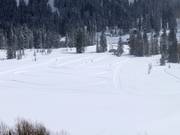 Loipen im Solitude Nordic & Snowshoe Center