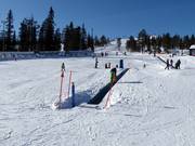 K Magic carpet - Förderband/Zauberteppich