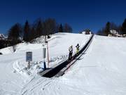 Childrens Park Vogel - Förderband/Zauberteppich