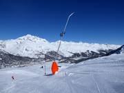 Schneilanze im Skigebiet Corvatsch
