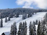 Mittelschwere Abfahrten an den Zellerliften