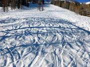 Tiefschneehang unterhalb der Alp Pradame