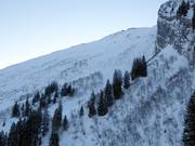 Blick auf das Freeridegebiet Laub