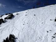 Weite Tiefschneehänge