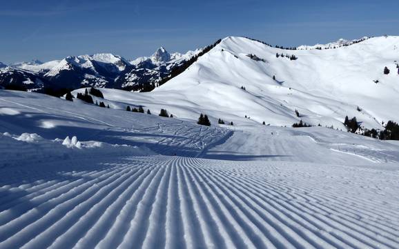 Pistenpräparierung Saanetal – Pistenpräparierung Rinderberg/Saanerslochgrat/Horneggli – Zweisimmen/Saanenmöser/Schönried/St. Stephan
