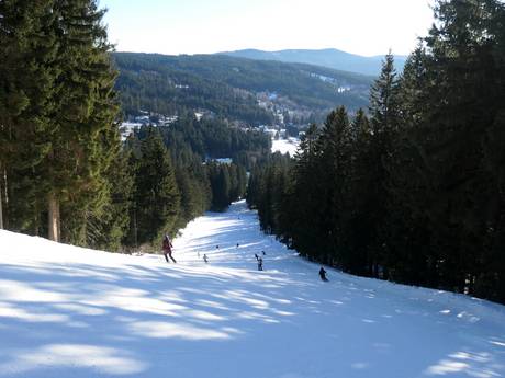 Pistenangebot Pilsner Region (Plzeňský kraj) – Pistenangebot Špičák