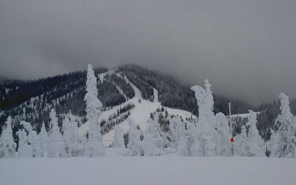 Skifahren in Idaho