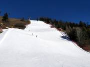 Schwarze Piste Piculin