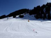 Sehr gut präpariertes Anfängerareal in Geils