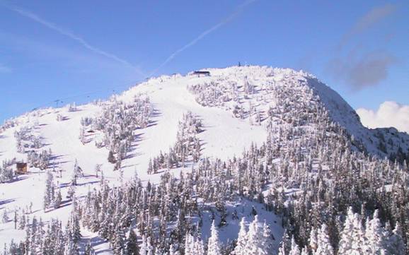 Bestes Skigebiet im Comox Valley Regional District – Testbericht Mount Washington