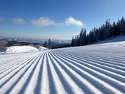 Perfekt präparierte Piste im Skigebiet Mönichkirchen/Mariensee