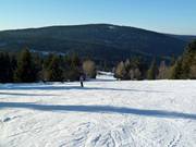 Abfahrt am Schlepplift Predigtstuhl II