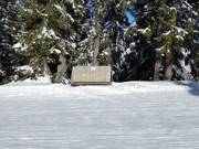 Anfänger lieben die Sonnenbänke zum Ausruhen