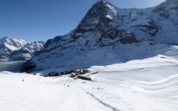 Skifahren in den Schweizer Alpen