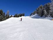 Schwere Rosimabfahrt