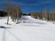 Abfahrt Red´s Rover