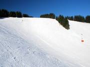 Die offenen Hänge des Pferdelochs sind typisch für das Postwiesen-Skigebiet