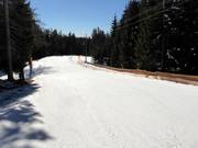 Leichte Talabfahrt Falzeben