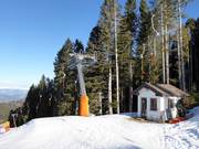 Rivetta - Tellerlift