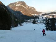 Blick auf die Piste am Tellerlift