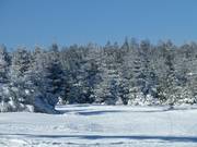 Einstieg in die Loipe