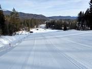 Skihang am Barmseelift