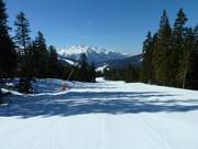 Mittlerer Teil der Talabfahrt Nr. 4