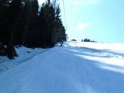 Schlepplift Lackner - Schlepplift mit T-Bügel/Anker