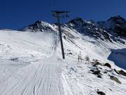 Almlift - Schlepplift mit T-Bügel/Anker