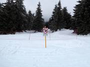 Wälder dürfen nicht befahren werden.