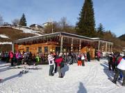 Snowbar Rindole