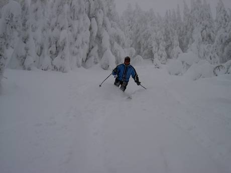 Pistenangebot Oregon – Pistenangebot Mt. Bachelor