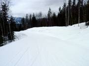 Leichte Piste The Last Spike