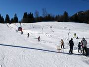 Hornbabylift - Tellerlift