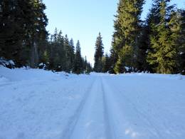 Černá hora – Janské Lázně