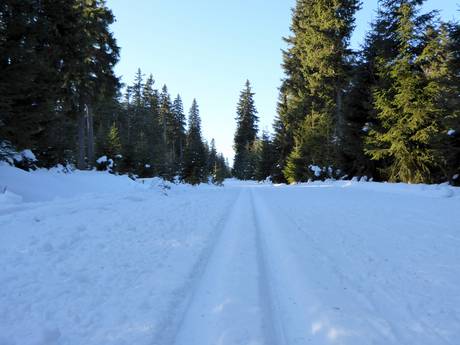 Langlauf Tschechien – Langlauf Černá hora – Janské Lázně