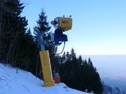 Beschneiung am Hohenbogen