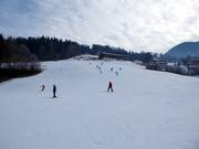 Piste am Schlepplift