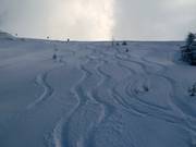 Spuren im Tiefschnee
