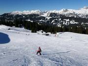 Übungspiste mit Tellerlift Kapell